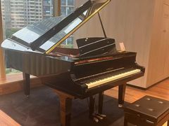 -知音艺术教育培训·钢琴培训·音乐培训(河西金鹰世界校区)