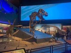 -贝林大翅鲸简餐厅(国家海洋博物馆店)