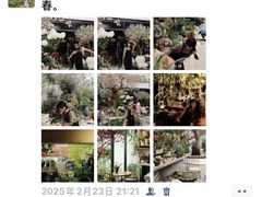 -自由生长植物工作室(深港花卉中心店)