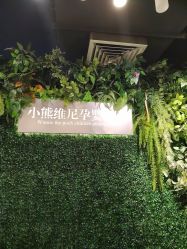 -小熊维尼高端孕婴摄影(清湖金銮店)