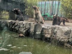 -太湖龙之梦