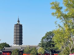 -西海子公园