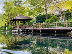 -济南大明湖景区