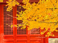 -承恩寺