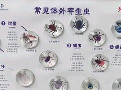 -瑞派康怡24h宠物医院·犬猫医疗中心·微创绝育(瑞景分院)