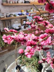 -今日陶艺(富力广场店)