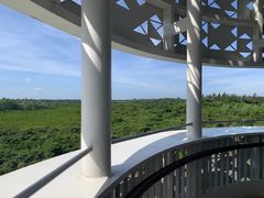 -东寨港红树林旅游区