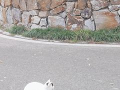 -宝界山林公园