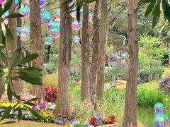 -人民公园(罗湖区)