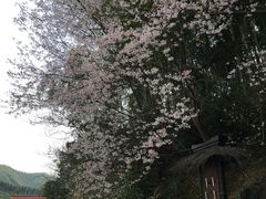 -径山寺