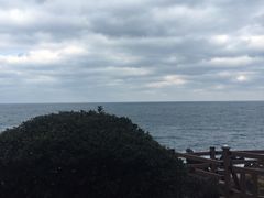 -龙头岩(Dragon Head Rock)