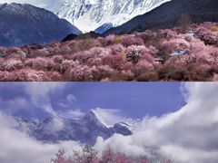 -新疆那拉提国家旅游度假区