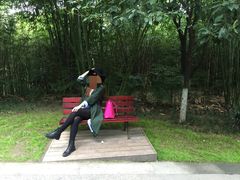 -成都大熊猫繁育研究基地