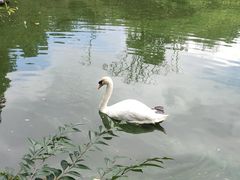 -昆明动物园