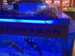 -鸽子侯·家宴·平价海鲜(绿地店)