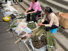 -尧坝古镇