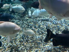 -成都浩海立方海洋公园