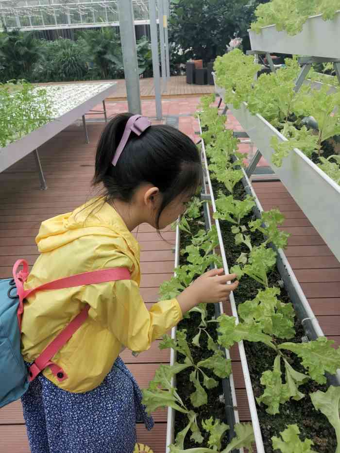 禾伯鲜农创新农场-"禾伯鲜农场从我们家开车过去1个小时,回.