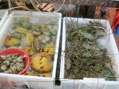 -春园海鲜广场D区6号(钟姐海鲜加工店)