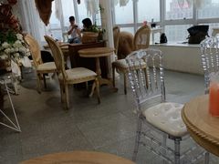 -共舞时光猫咖·狗咖(新街口店)