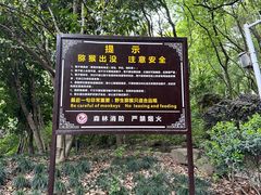 -苏州上方山国家森林公园