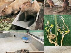 -荆州中山公园动物园