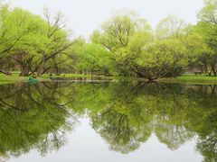 -共青国家森林公园-售票处