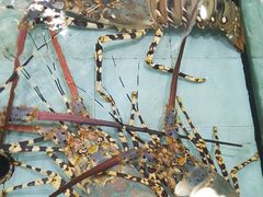 -渔民新村(番禺总店)