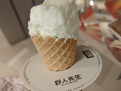-野人先生现做冰淇淋(北京环宇荟店)