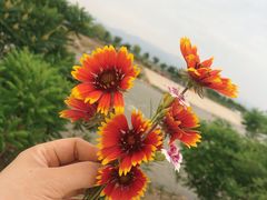 -北京金海湖景区