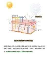 -春田皮肤管理中心品牌旗舰店
