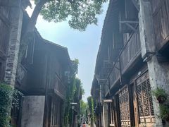 -乌镇西栅景区