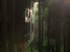 -武陵山森林公园