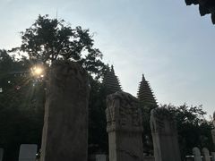 -北京石刻艺术博物馆(五塔寺)