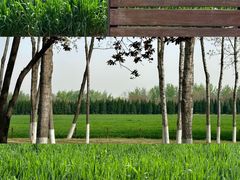 -汉长安城未央宫国家考古遗址公园