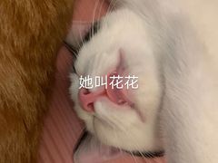 -96农蝎虾(江桥老街店)