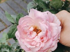 -天怡·鱼工厂(梅溪湖店)