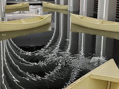 -涨巢·潮玩水疗局