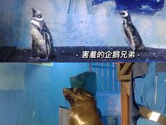 -常州海昌海洋探索馆