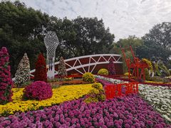 -共青国家森林公园-售票处