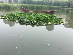 -前关湿地公园