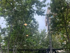 -星巴克(红房子店)