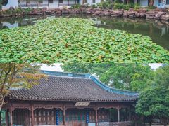 -西溪国家湿地公园