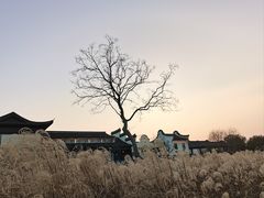 -乌镇景区
