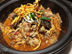 -笨笨甲甲鱼坊(蓝堡湾店)
