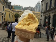 -柠檬车露(卖草地店)