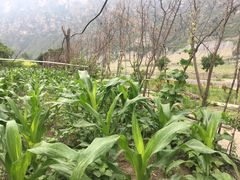 -十渡东湖港风景区