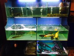 水产区-迎晨餐厅(青芝坞店)
