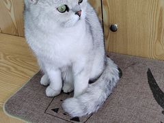 -中农大我爱我爱动物医院·核磁CT·猫病·24小时夜诊中心(石佛营店)