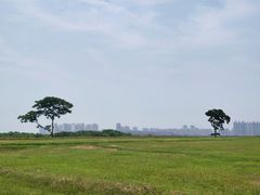 -盘龙城国家考古遗址公园